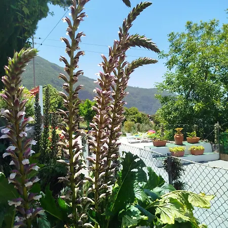 Casa Lola *